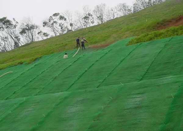 ���Sֲ���W(w��ng)